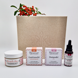 Feste Haarpflege Komplettpaket