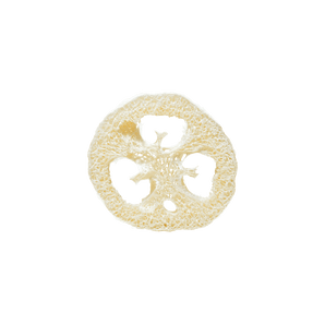 Luffa_Scheibe_0135NdIAETKhdxqL